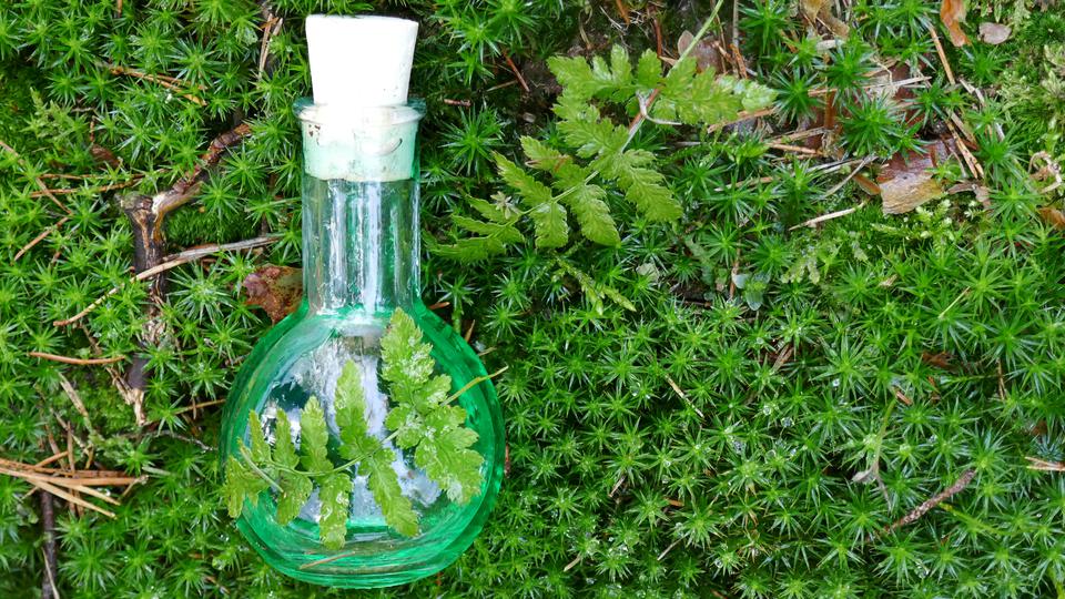 Bottle with green tincture in green moss. 