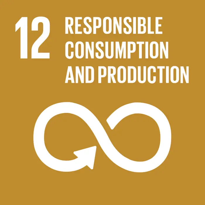 12. Responsible consumtion and production